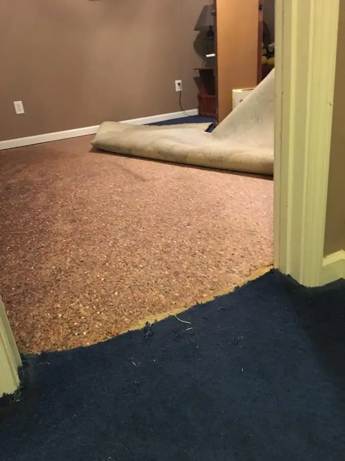 Carpet pad removal revealing water damage during Drying & Dehumidification in Cranford
