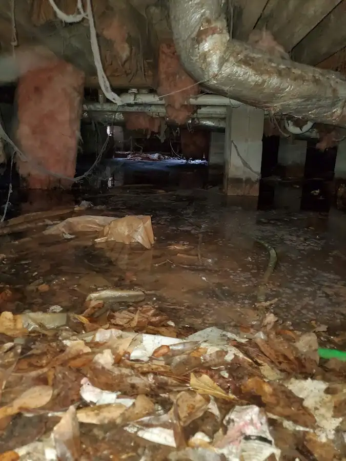 Crawl space flood assessment for Leak Detection & Repair in Cranford
