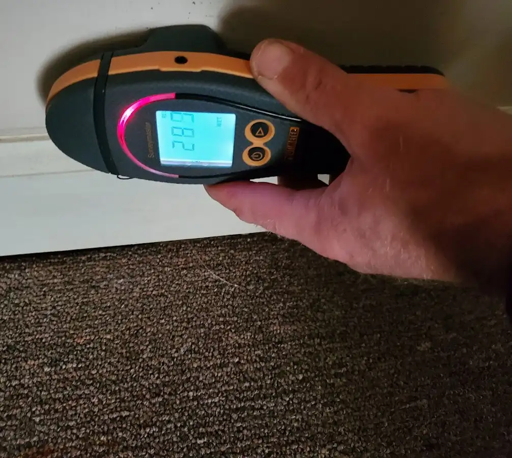 Moisture detection at baseboard during Sewage Cleanup & Sanitation in Cranford